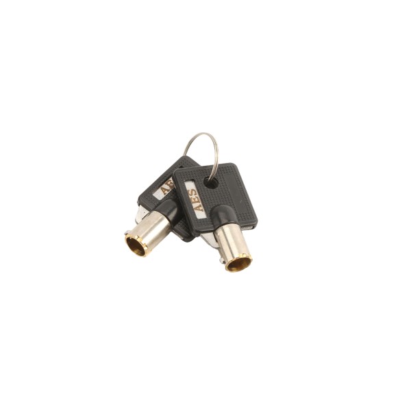 BFT Key For Cellular Callbox - IB-KEY